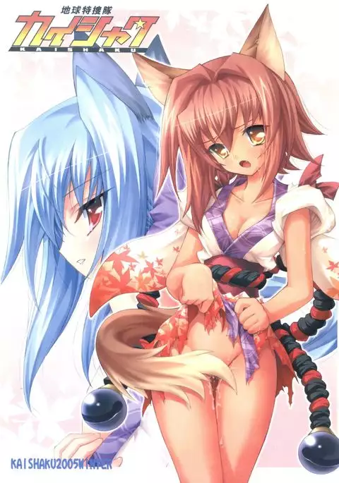 Chikyuu Tokusoutai Kaishaku