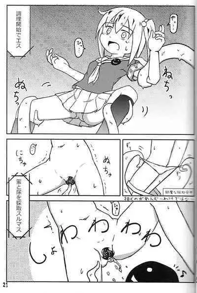 Tsurupeta Kenkyuu Houkokusho 011