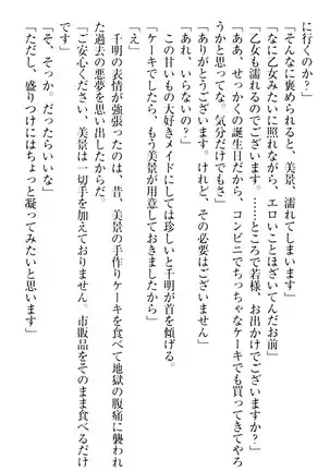 年上メイドの新婚日記