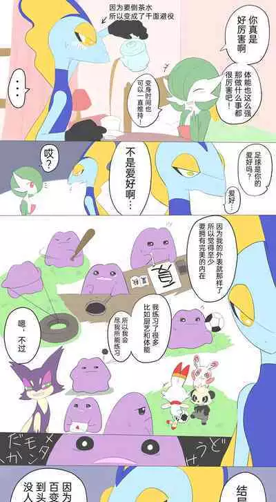 |宝可梦的故事（呜鸟木个人汉化组）