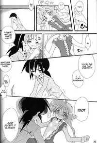 [Sesamin] an (Princess Tutu) [English] [Tigoris Translates]