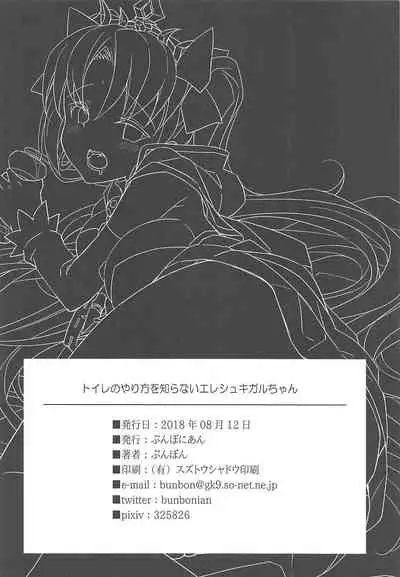 Toile no Yarikata o Shiranai Ereshkigal-chan