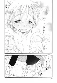 Comic Hime Dorobou [2008-09]