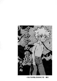 (Yarou Fes 2015) [Meishou Nantoka (Hatoko)] IruNaru no Wadachi (Naruto)