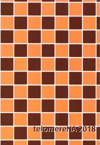 Minami datte Yuuwaku Shimasu yo?