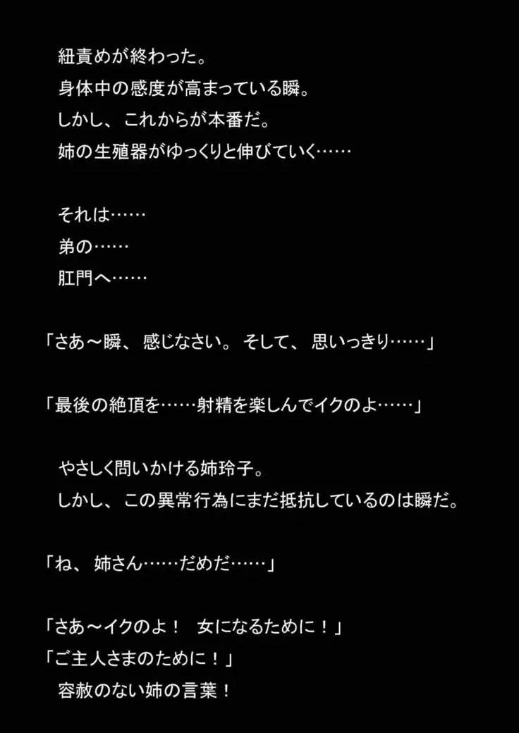 Nyoutaika Sousakan VS Meido Kata Eirian Vol 2