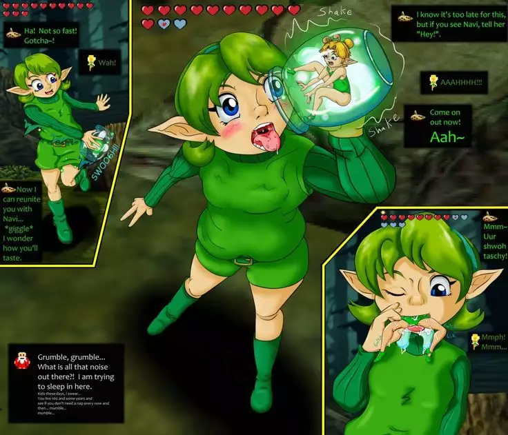 The Adventures of Fairy Link