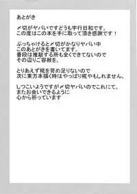 (Mimiket 20) [Evo.R.B (Takayuki Hiyori)] Touhou Sanjuusou (Touhou Project)