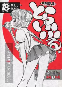 (C67) [ENFANT TERRIBLE (Edogawa Shundei)] TRIFLE ( Card Captor Sakura)