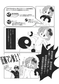 (C74) [Tsurupeta (Various)] Tsurupeta Kenkyuu Houkokusho "Kakyuu Sentou In no Isshou" - Turupeta Research Report