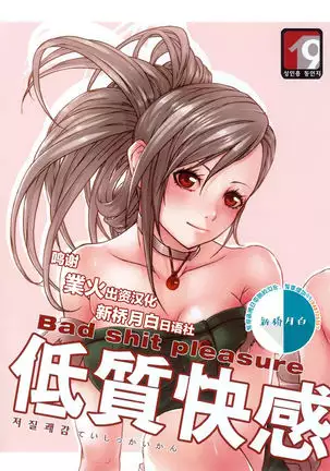 Tei Shit Kairaku Album - Bad Shit Pleasure
