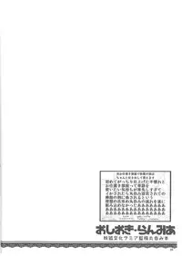 (C89) [YAMADA AIR BASE (Zawa, Mumumu, Yukaran Nosuke)] Oshioki Ranmia (Touhou Project)