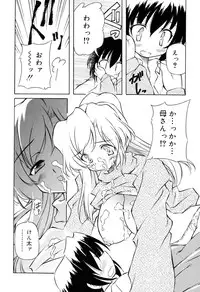 [Yasui Hirosato] Tennen Milk Pie