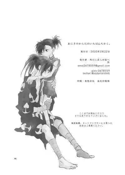 Aniki no Karada no Ichiban Chikaku.