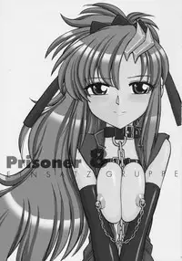 (C70) [EINSATZ GRUPPE (Charlie Nishinaka)] PRISONER 8 Miserable Birds (Gundam SEED DESTINY)