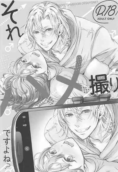 Sore Hamedori desu yo ne?