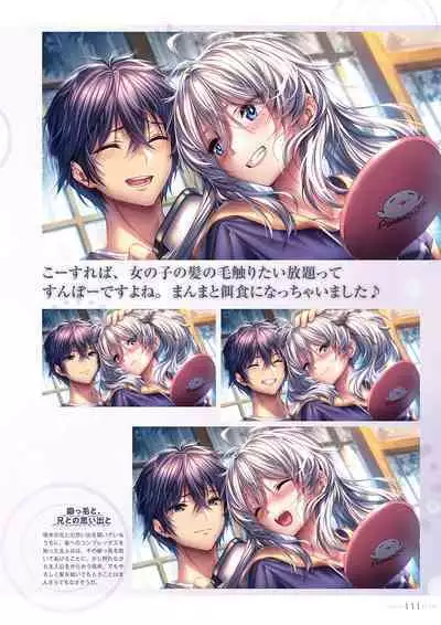 Amakano 2+ Visual Fan Book