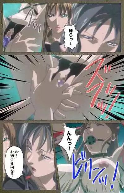 Shin Bible Black kanzenhan