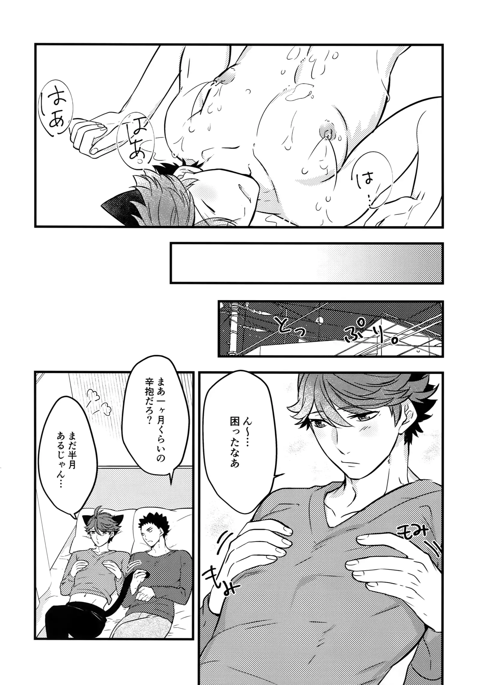 Iwachan no Neko ni Naritai Sairoku-Shuu