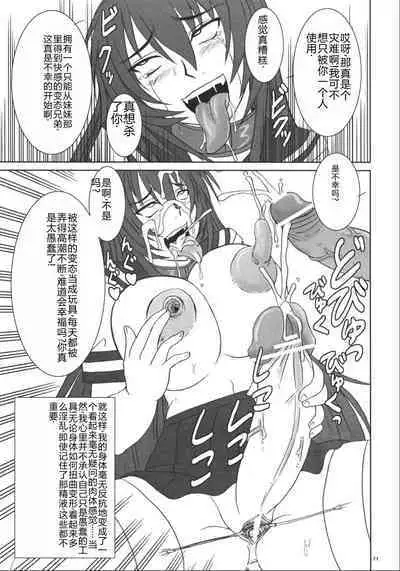 Kyouhime-sama wa Nikubenki