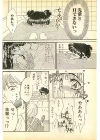COMIC Papipo Gaiden 1995-11 Vol.17