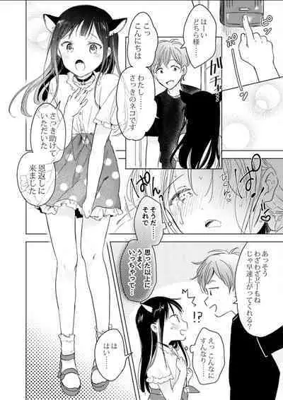 Neko wa Ongaeshi nado Shinai.