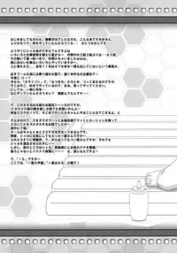 (SHT2012 Haru) [Kairaku Shuudan (Katou Kakashi)] if ~Aiefu~ Sono 1 (IS <Infinite Stratos>)