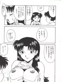 (CR18) [Karumaya (Karuma Tatsurou)] KARMA II (Neon Genesis Evangelion)