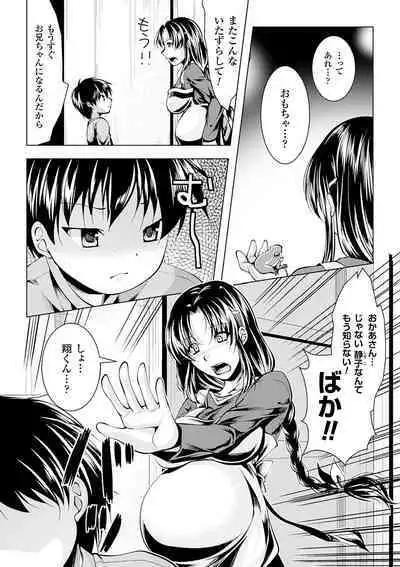 Utsukushiki Mesu wa Harande Ochiru