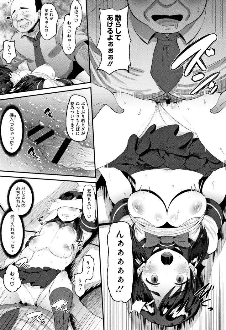 Mesukan Kareshi ni Zettai Ienai, Kare Papa Tanetsuke Nama Koubi