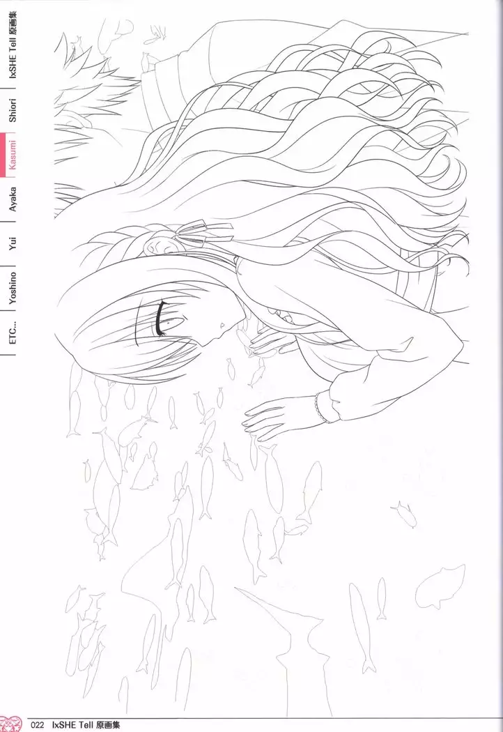 IxSHE Tell illustration art book