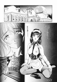 [Kuma-san] Purple Rain