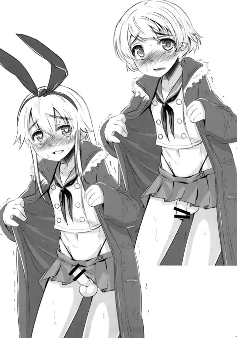 Dosei Nanjou Doitsu-kan Nikutai Kyousei Sousa