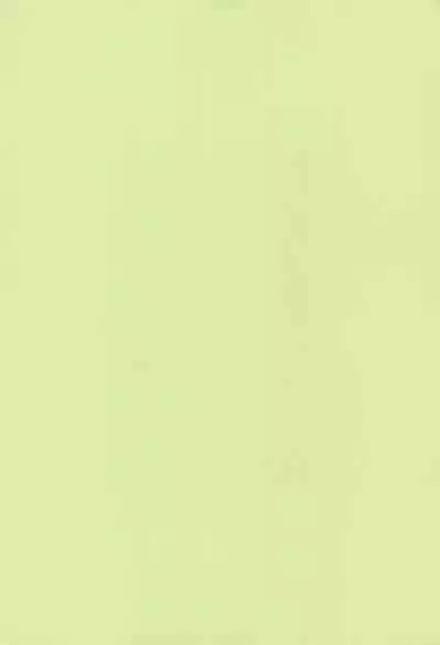 (SC62) [ZCC (Chikichiko)] LAMBS (Danganronpa)