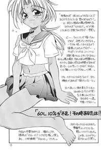 (C58) [Sugar Soul Drive (Tatsuya Kamishima)] Chibi Kuro (Love Hina)