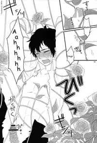 [nmtk (Toya Mayu)] El cautivo de la rosa (Hetalia: Axis Powers) [English]