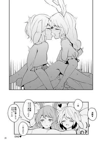 Bitter sweet Green apple