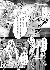 (C80) [chronicle (YUKITO)] FATE COLLECTION II (Mahou Shoujo Lyrical Nanoha)