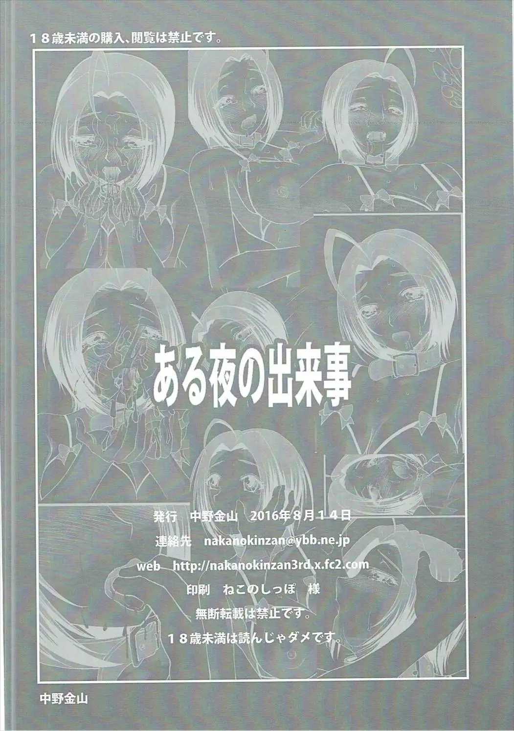 Aru Yoru no Dekigoto