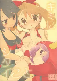 (C90) [chori (Mokki)] Kimi ni shitai Koto (Pokémon)