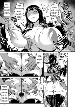 Nico Robin no Ibunka Kouyuuroku