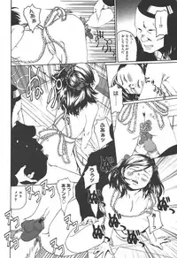 [Anthology] [2004-06-10] COMIC MEGAPLUS Vol.09 (2004-07)