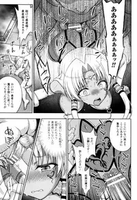 [chaccu] Seijo no Kenshin