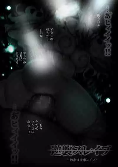 [sad.co (Sadokko)] Gyakushuu Slave ~Haiboku wa Sanran Rape~