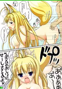 (C74) [Cat Expert (Nekousa)] Mimiparo! (Spice and Wolf)