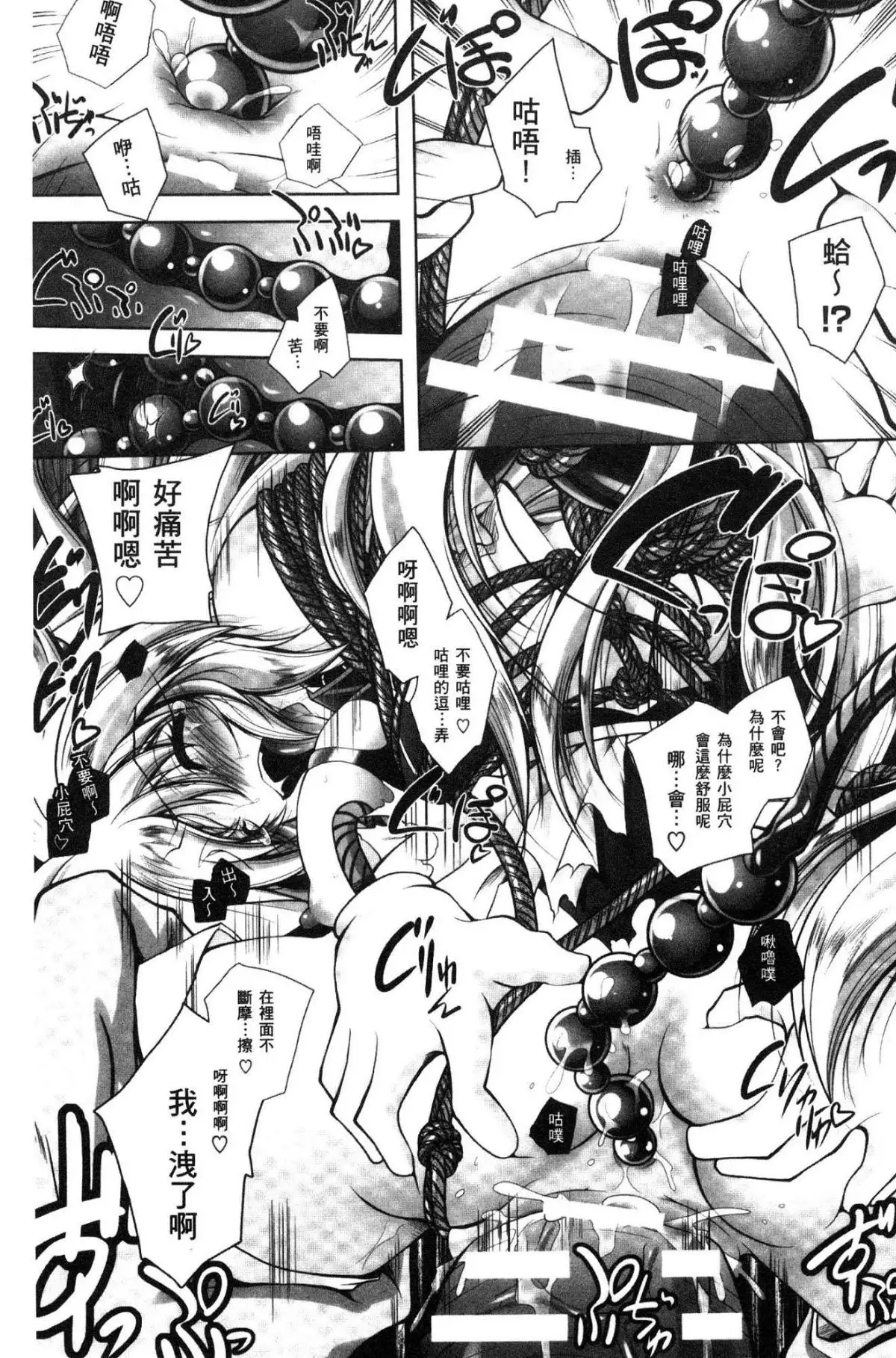 Fallen Justice -Seigi Shittsui-