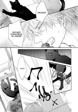 Kuroneko Kareshi no Asobikata