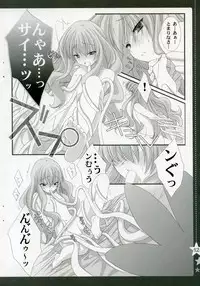 (C72) [Shounen x Shoujo (Kisaragi Mizu)] Otome no Jijou (Zero no Tsukaima)