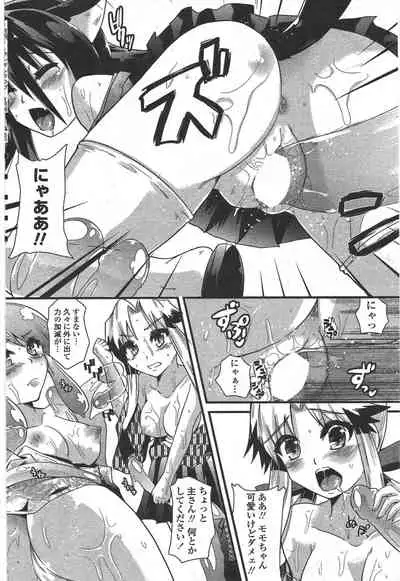 COMIC Penguin Club 2010-01