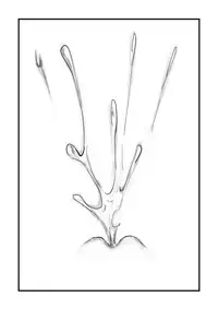 [森之介] 宇佐见堇子想要自慰 (東方project) (Chinese)